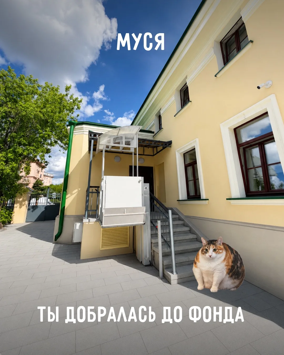 😊 Муся пробралась в Центр поддержки семьи в Москве и познакомилась с командой.