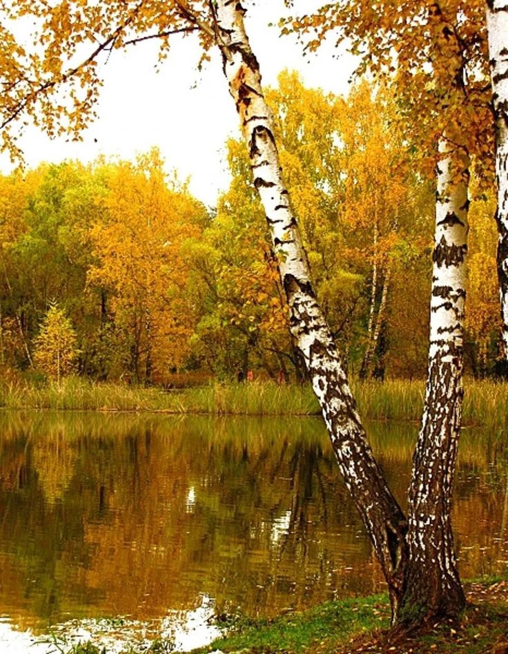 Если человек не думает о всеобщем благе, но при этом находится в благоприятных условиях...