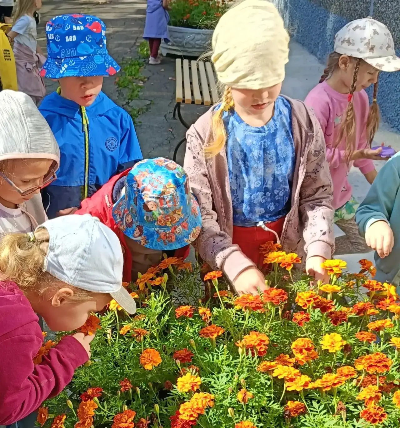 Цветы, которые улыбаются нам весь день 🌸