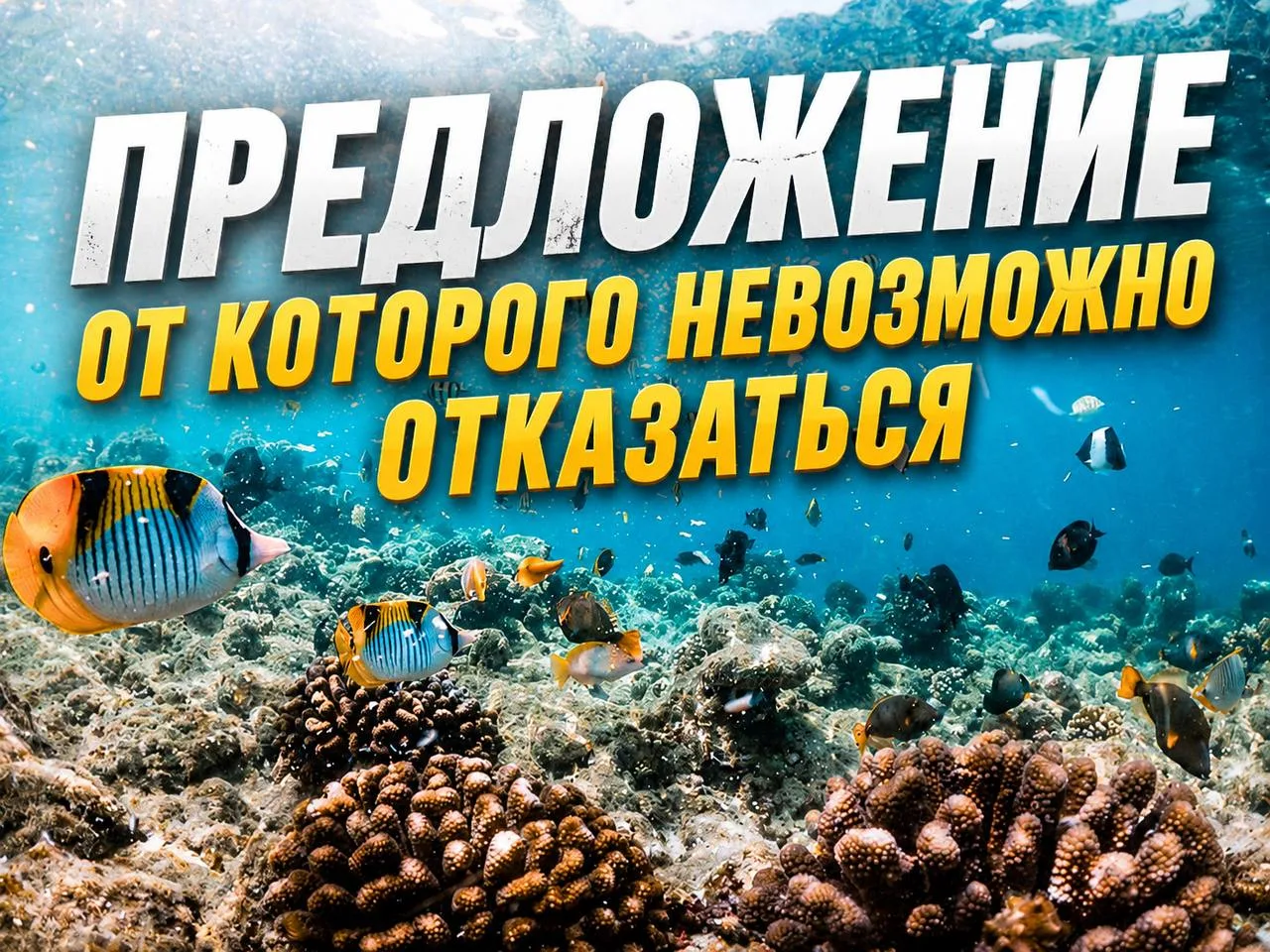 - Больно смотреть на губы, которые не можешь поцеловать, и на КЛАССНЫЙ ТУР, который не ...