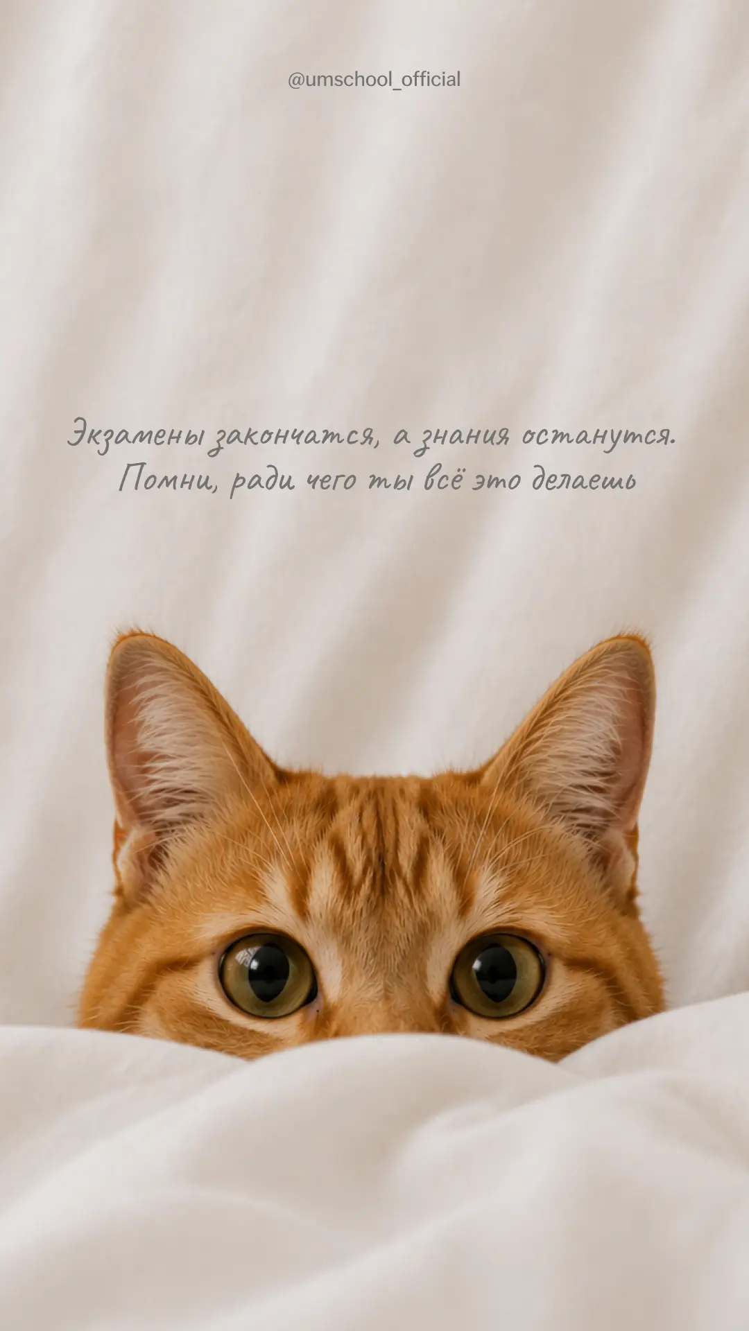 Добавляем осенний вайб и мотивацию в твою жизнь 🪄