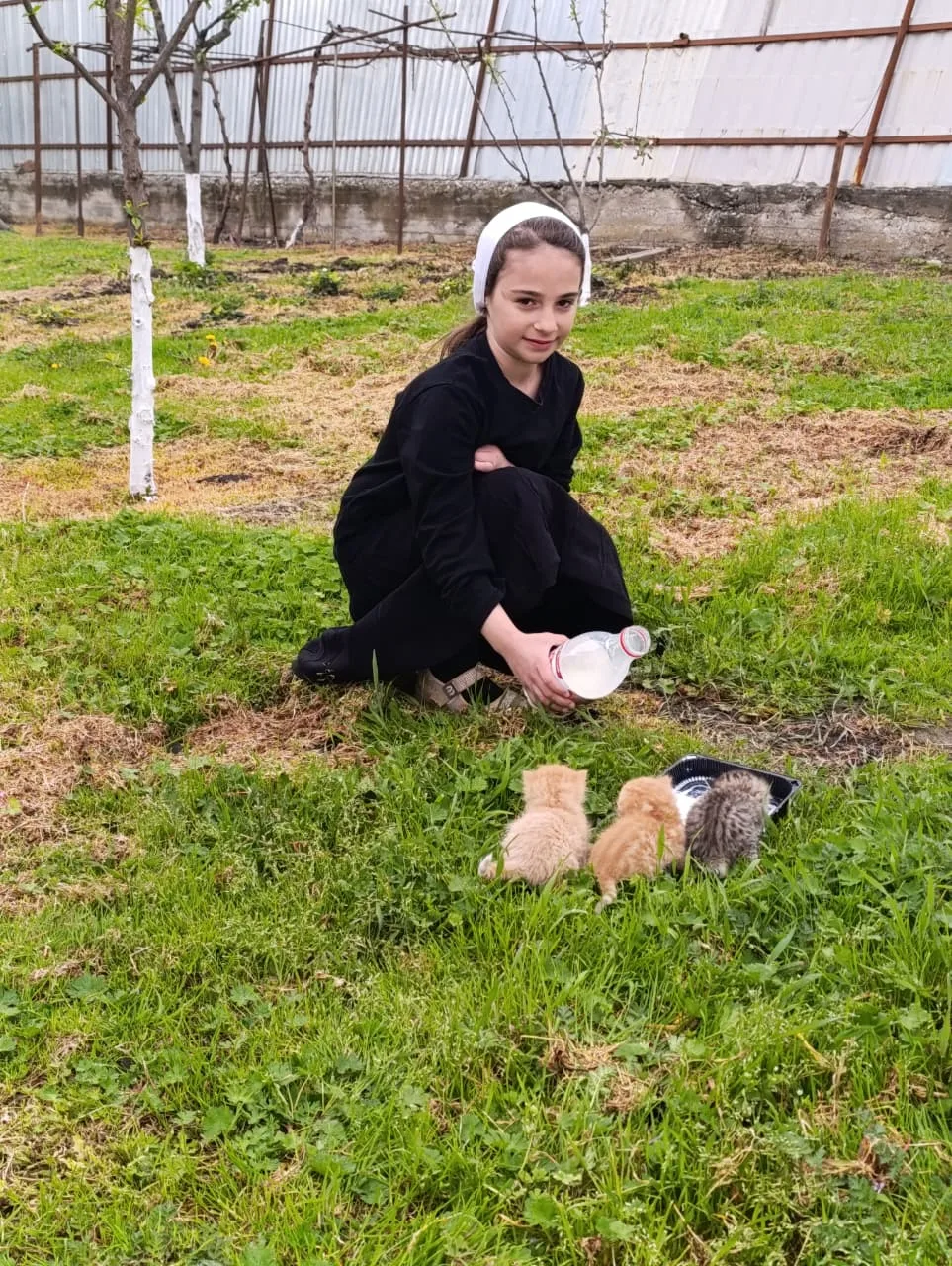 В мероприятиях ко Дню эколят приняла участие Балиева Халифа, ученица 1 А класса. Конкурс на лучшую ф