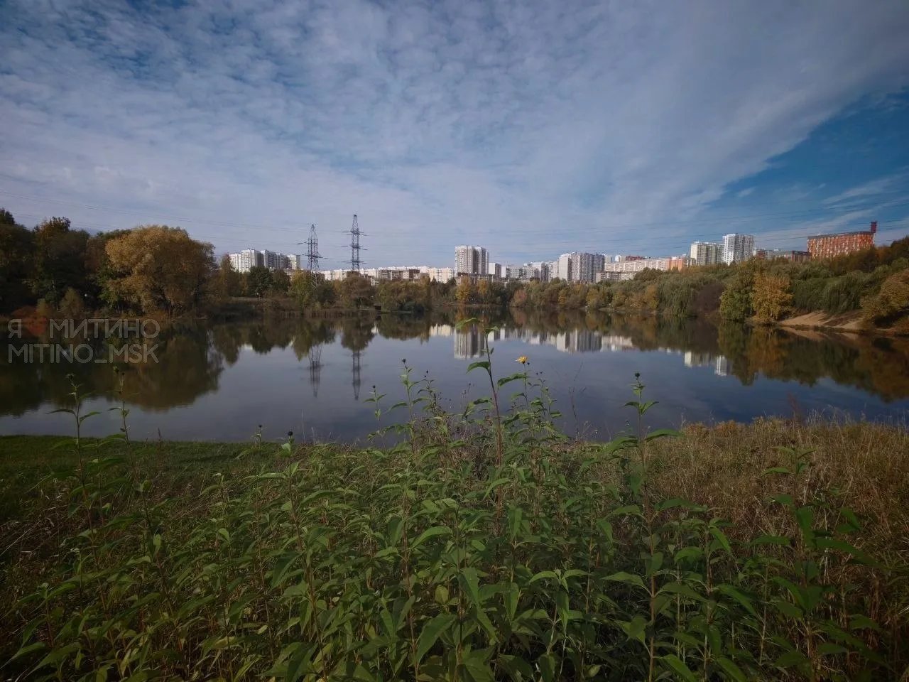 🍂Осень в Ландшафтном парке "Митино"
