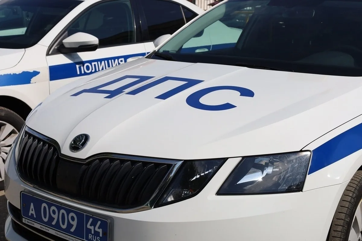 В Костроме пьяный мужчина на Audi попытался задавить знакомых — получил 9 лет ⚖️