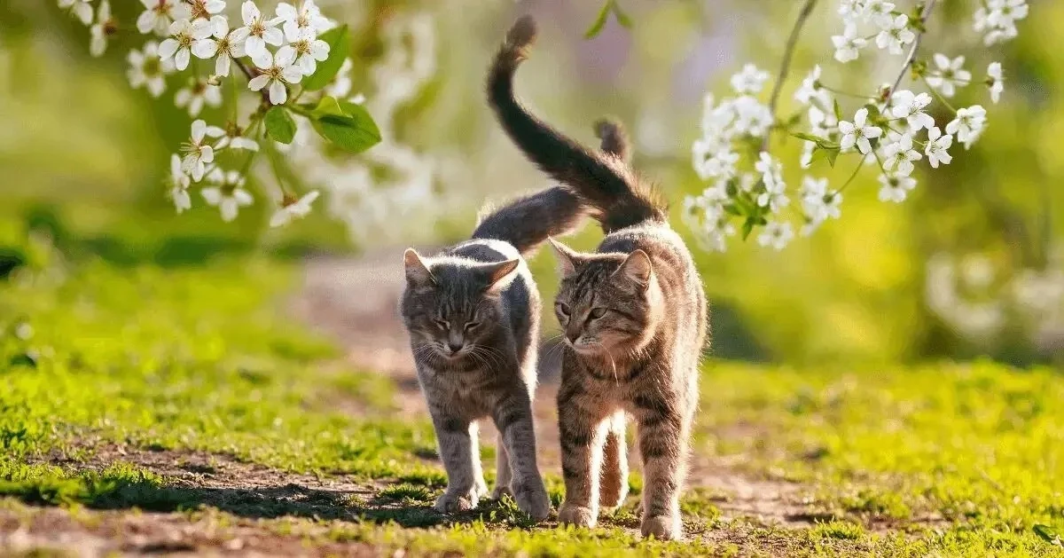 📌Социальная активность: когда хочется закрыться от мира  🌷Весна обычно зовёт на улицу, но если появл