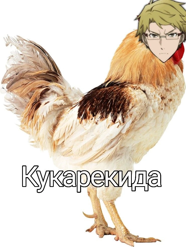 Все наши каналы