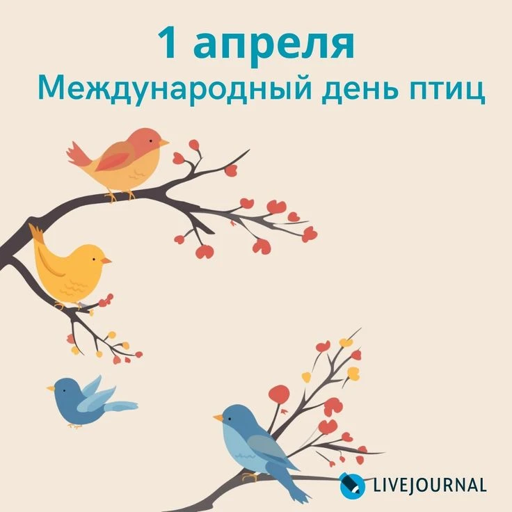 1 апреля в мире отмечается экологический праздник - День птиц, который направлен на при...