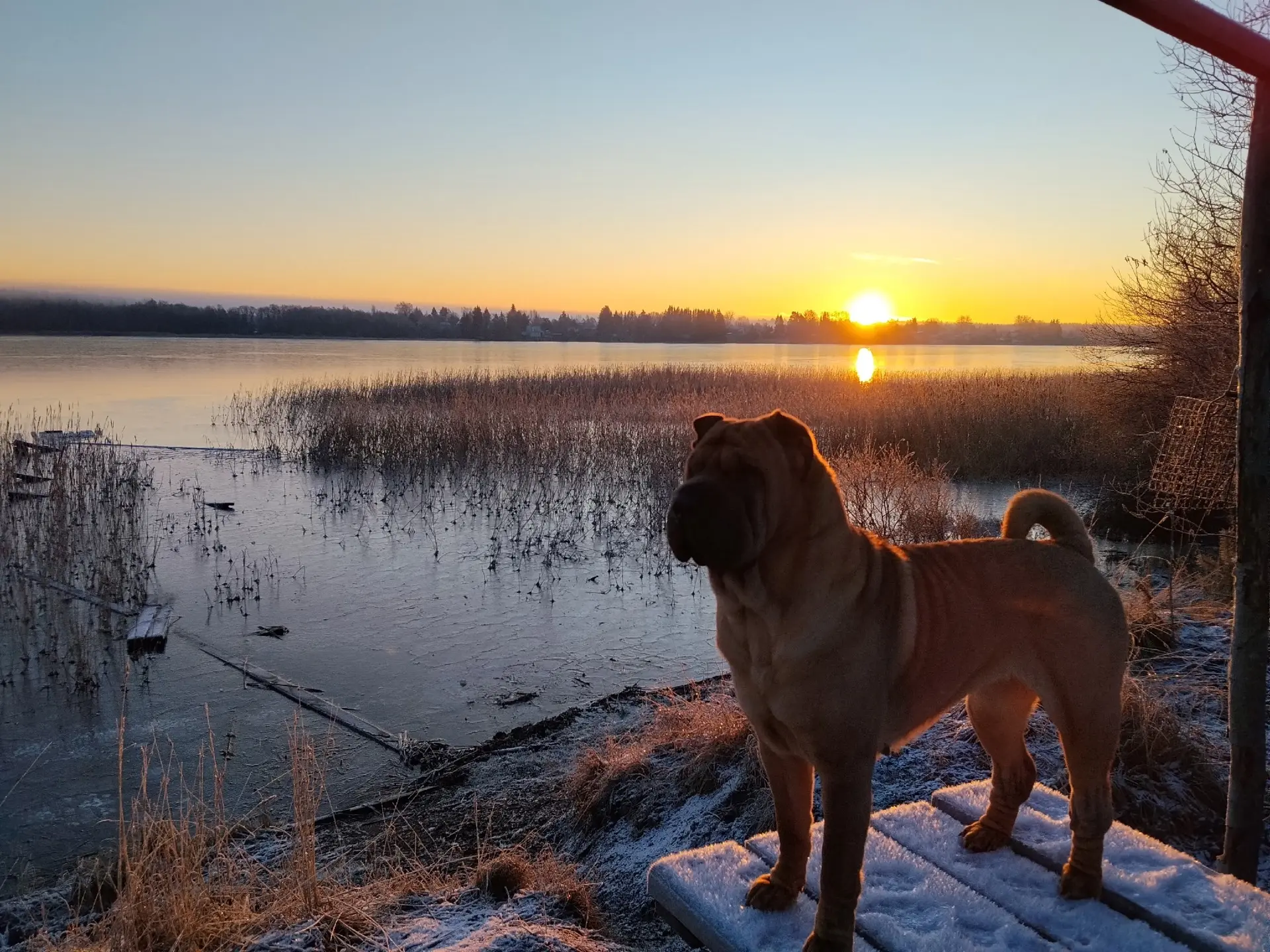 На прогулке. Мороз, солнышко, озеро.