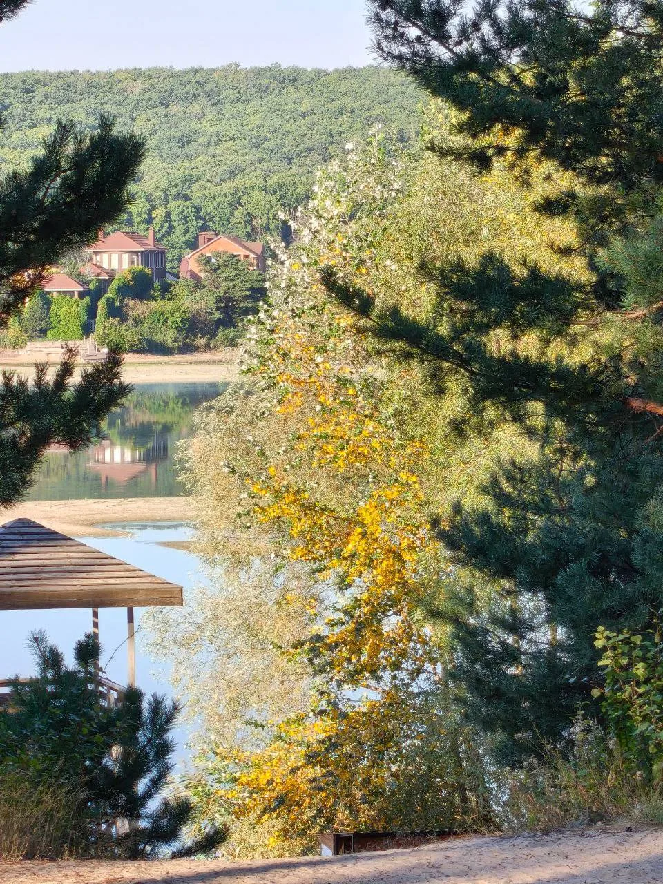 Осень в Сосновке 🍂