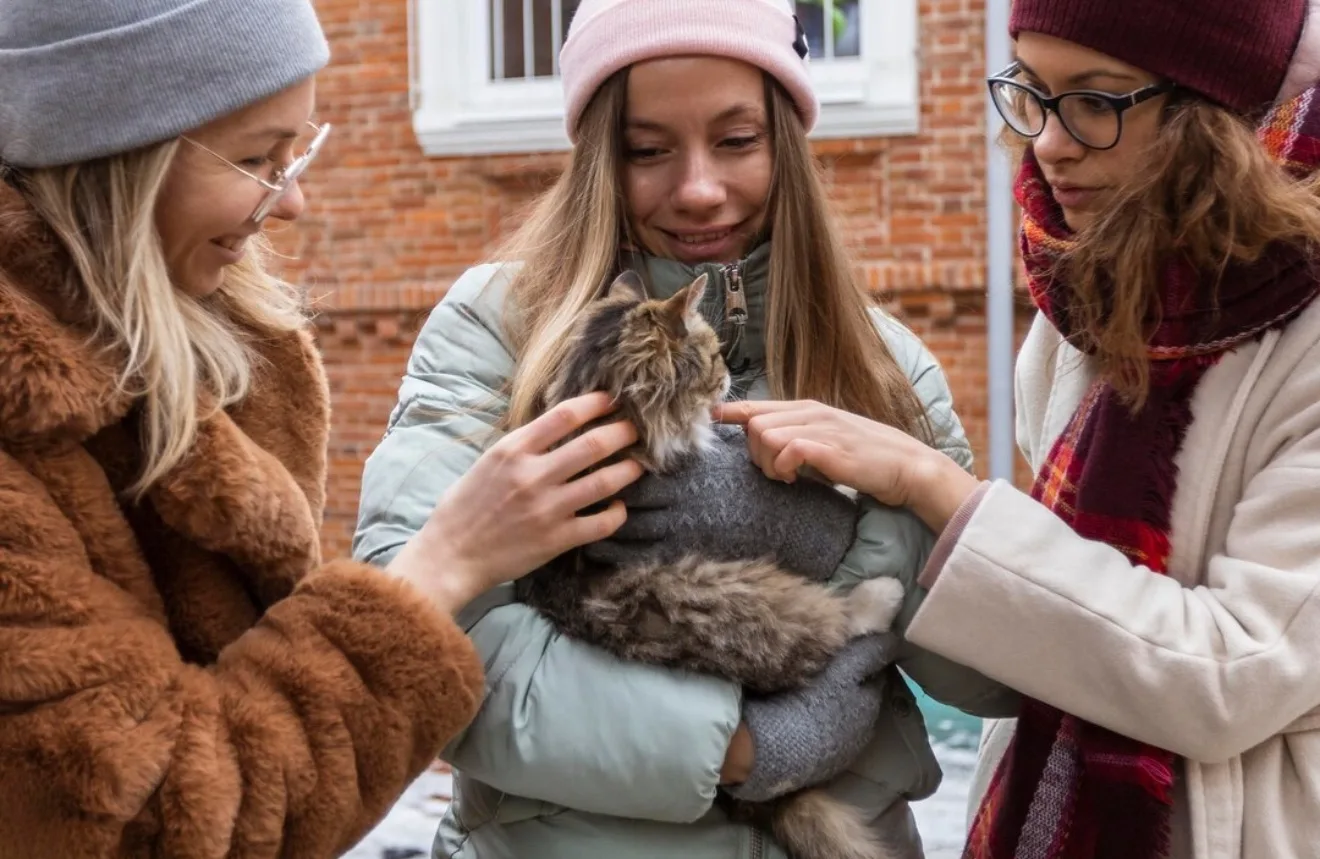 🐾 В «Изумрудном» соберут помощь для животных из приюта