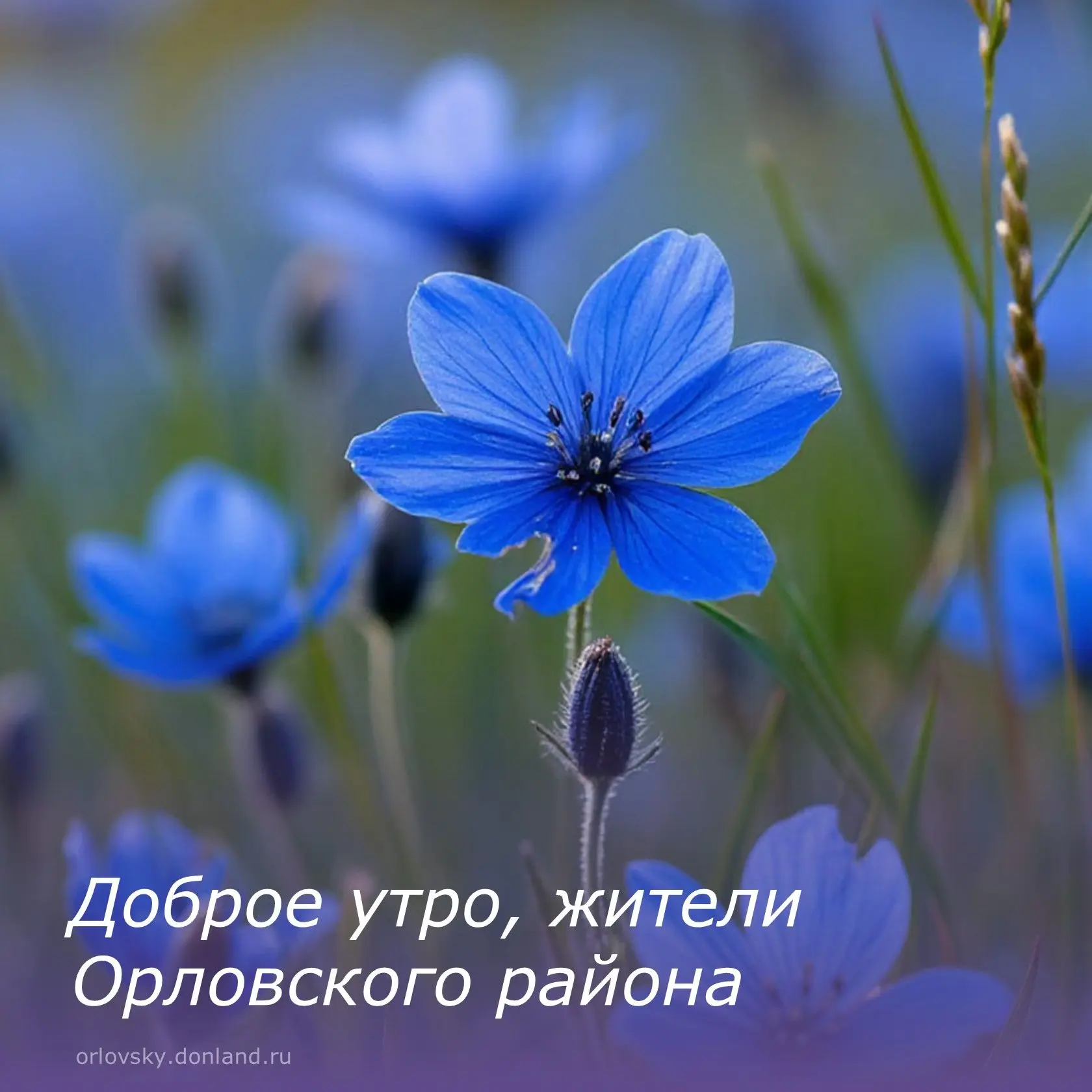 🌞Доброе утро, орловчане!