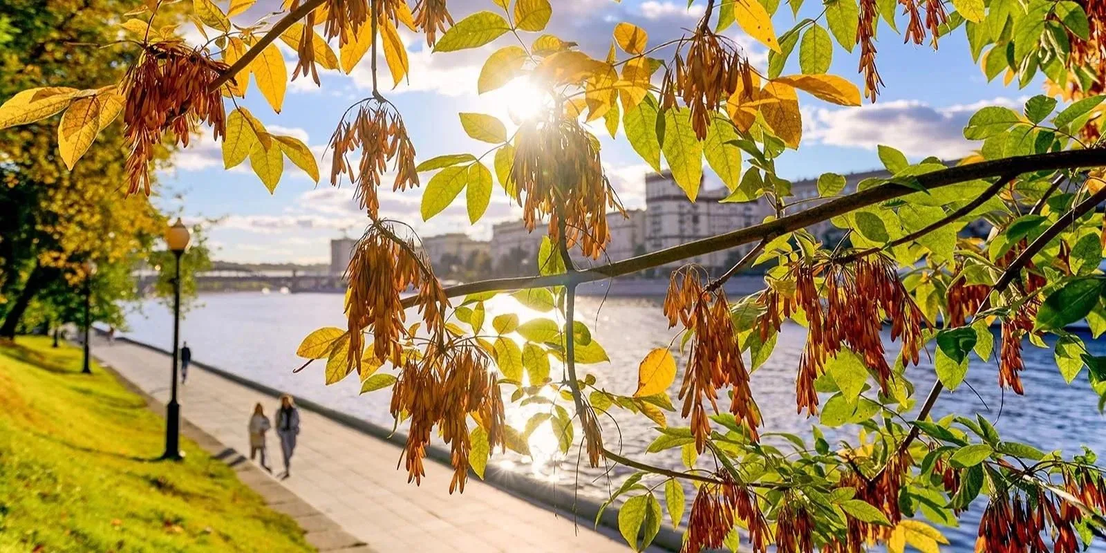 ☀️ В ближайшие дни в Москве ожидается потепление.