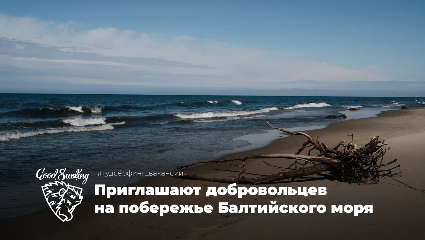 Проект «Заповедное дело РГО» приглашает волонтёров принять участие в создании новой особо охраняемой