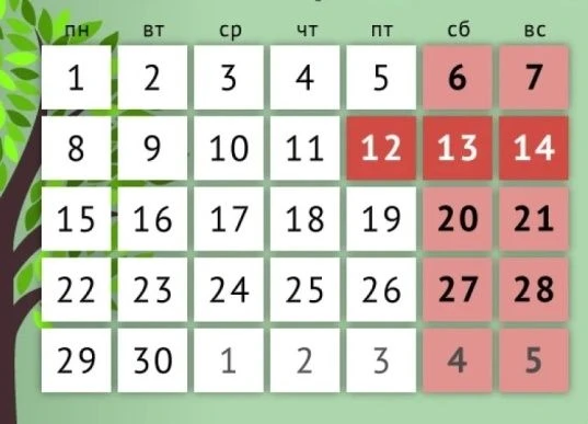 💫График работы в июне💫