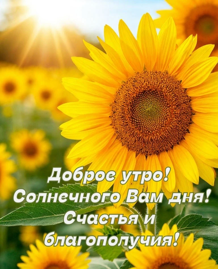 Добрые открытки