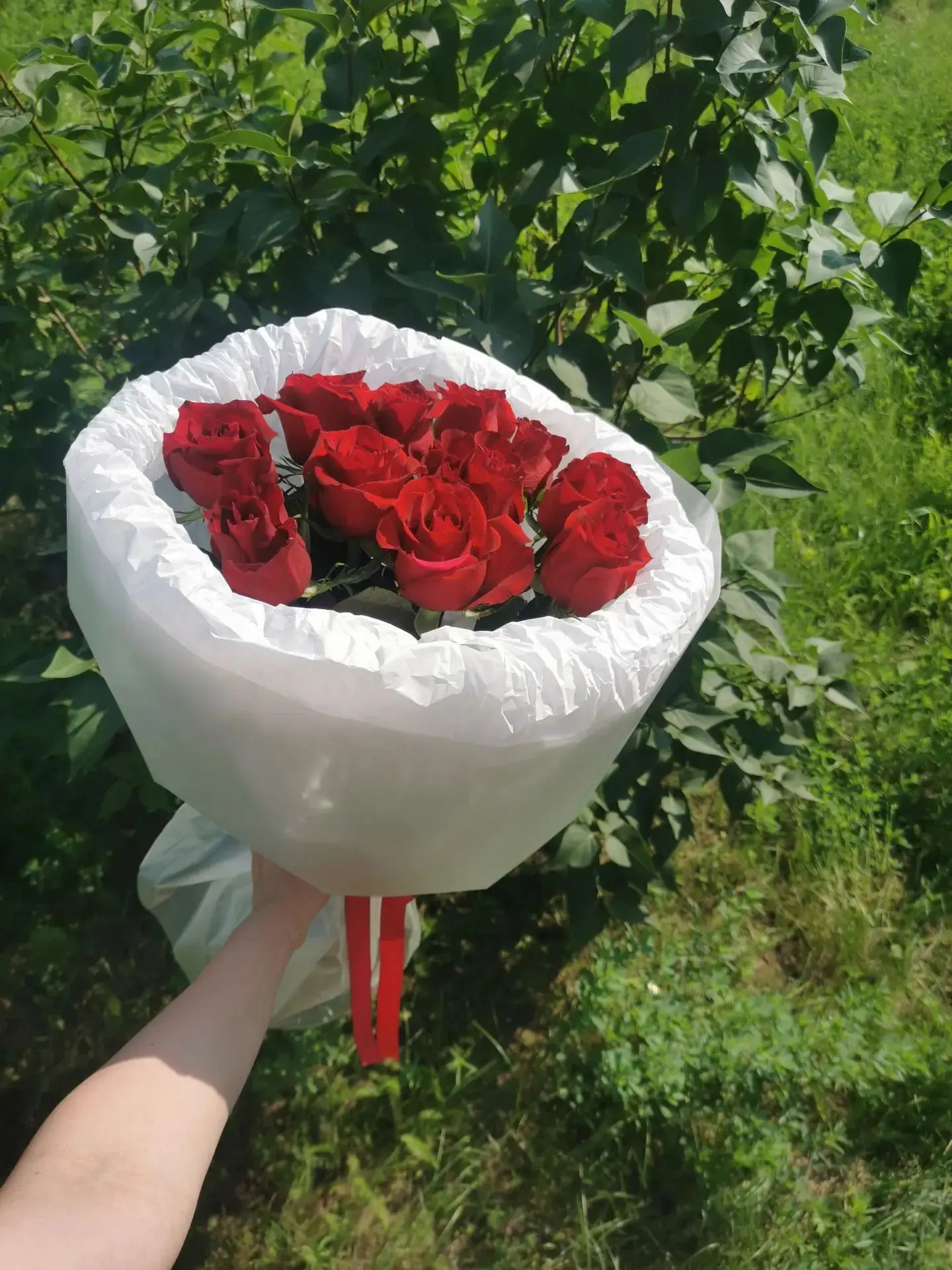 Букет из 11 роз