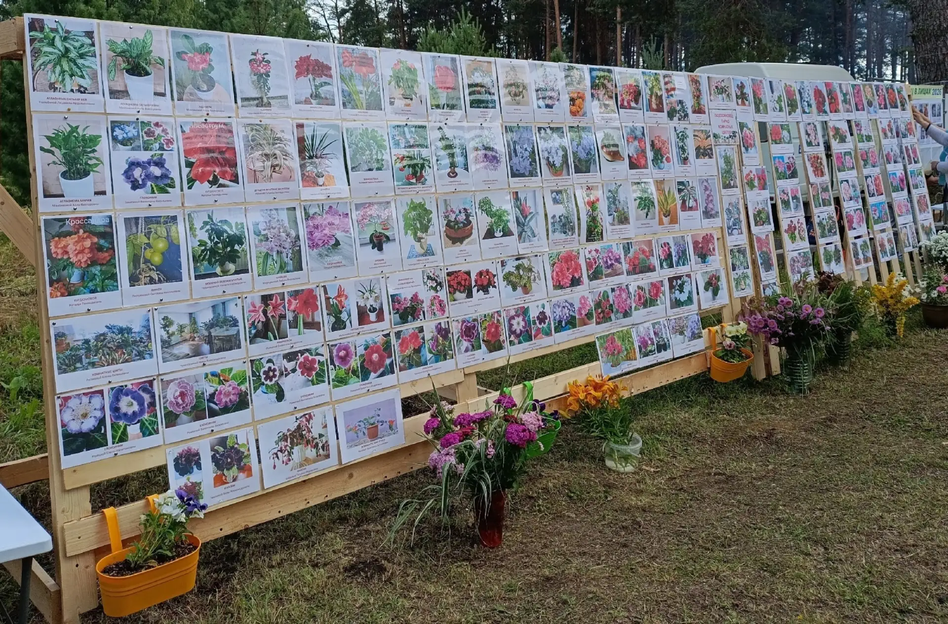 Ветеранская организация п. Подосиновец и Клуб садоводов и огородников "Дачник" Подосиновской централ