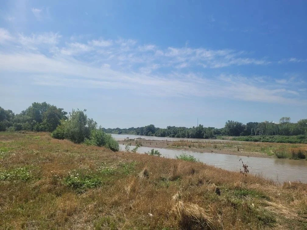 🌳 В Армавире благоустраивают экотропу «Лесной путь Урупа»