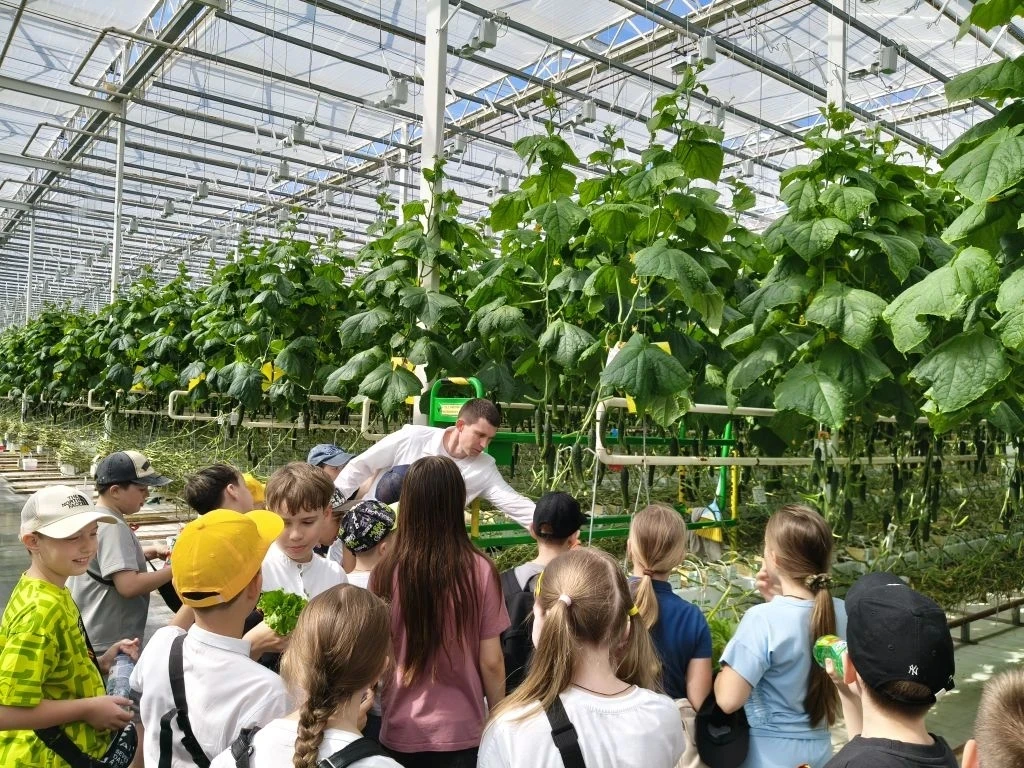 «НейроВитамины» на грядке: салат, огурцы и море открытий! 🥬🥒🍅Небольшой рост – а витаминов вагон!   🚀