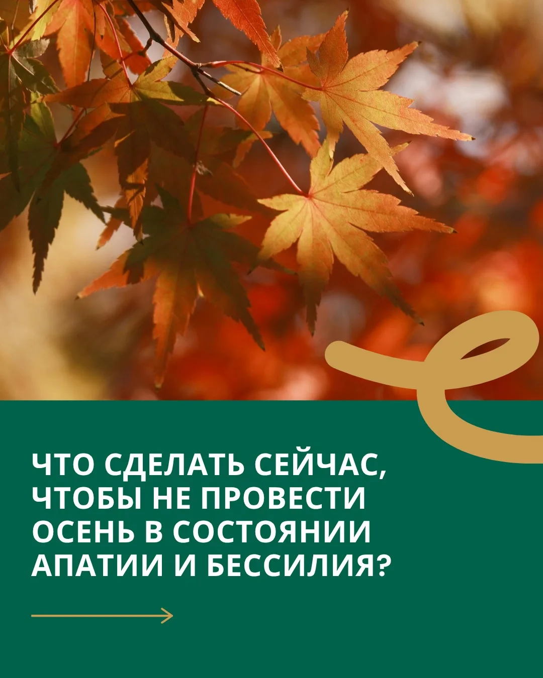Большинство из нас проверяет здоровье, когда что-то уже случилось. Например, когда в ра...