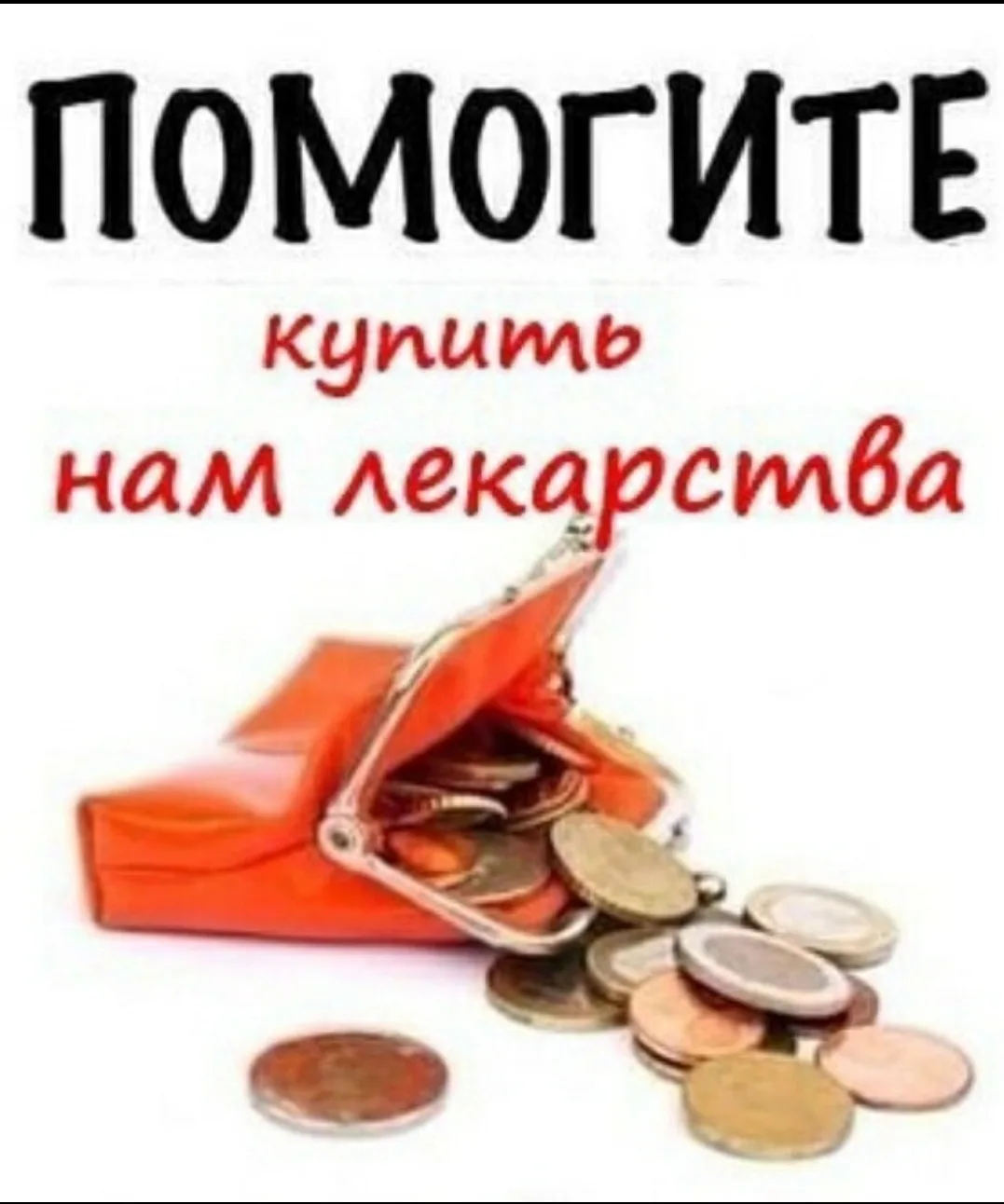 Друзья, в четверг мы свозили Нуарчика на повторный прием к гастроэнтерологу.