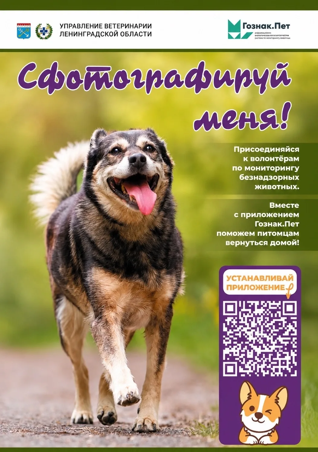 Внимание! Важная информация!

Управление ветеринарии Ленинградской области информирует о том, что с 