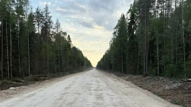 На трассе Долматово — Няндома — Каргополь — Пудож выбрали подрядчика для капремонта уча...