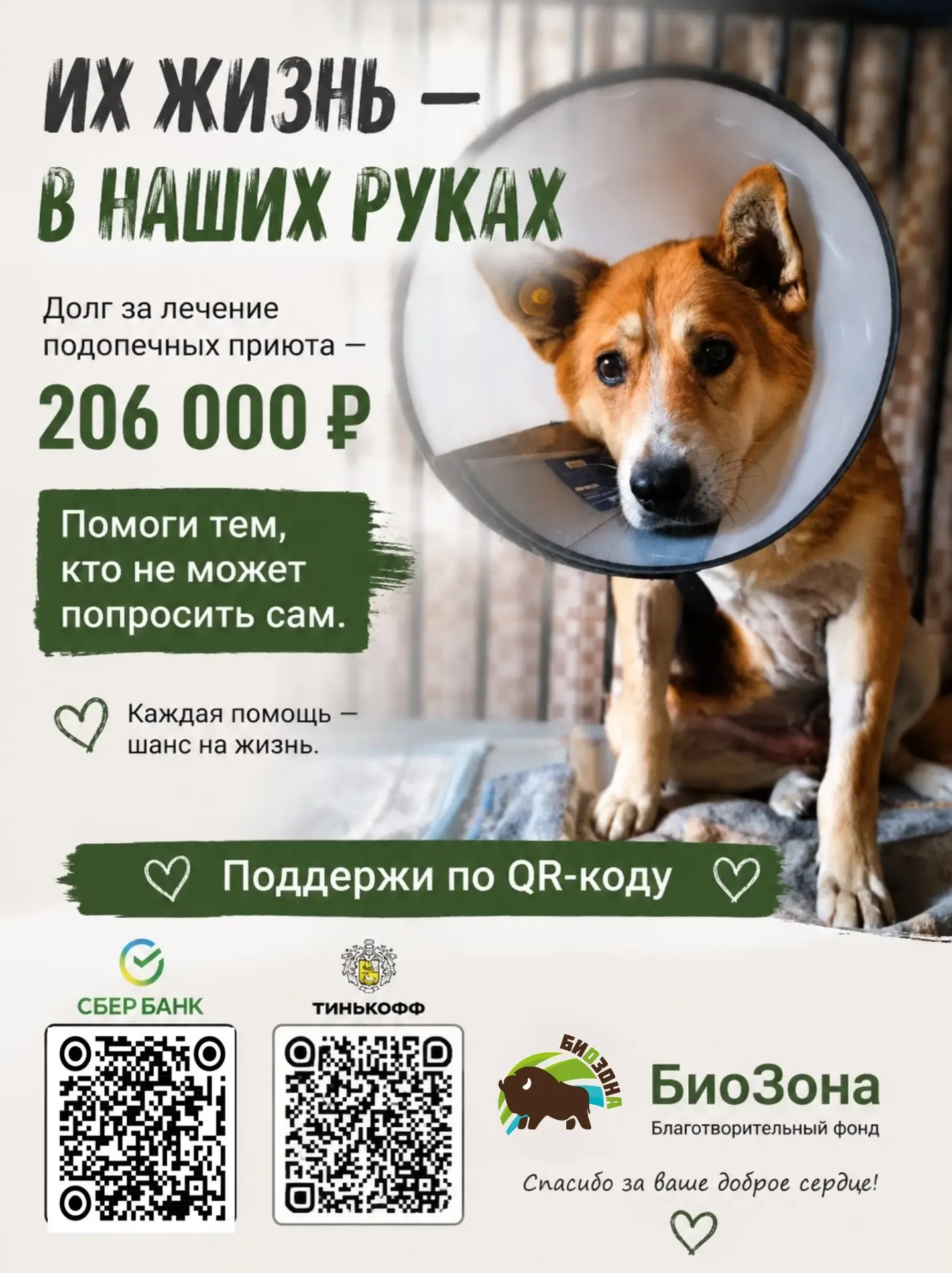 У Лапки хорошие новости! ❤️