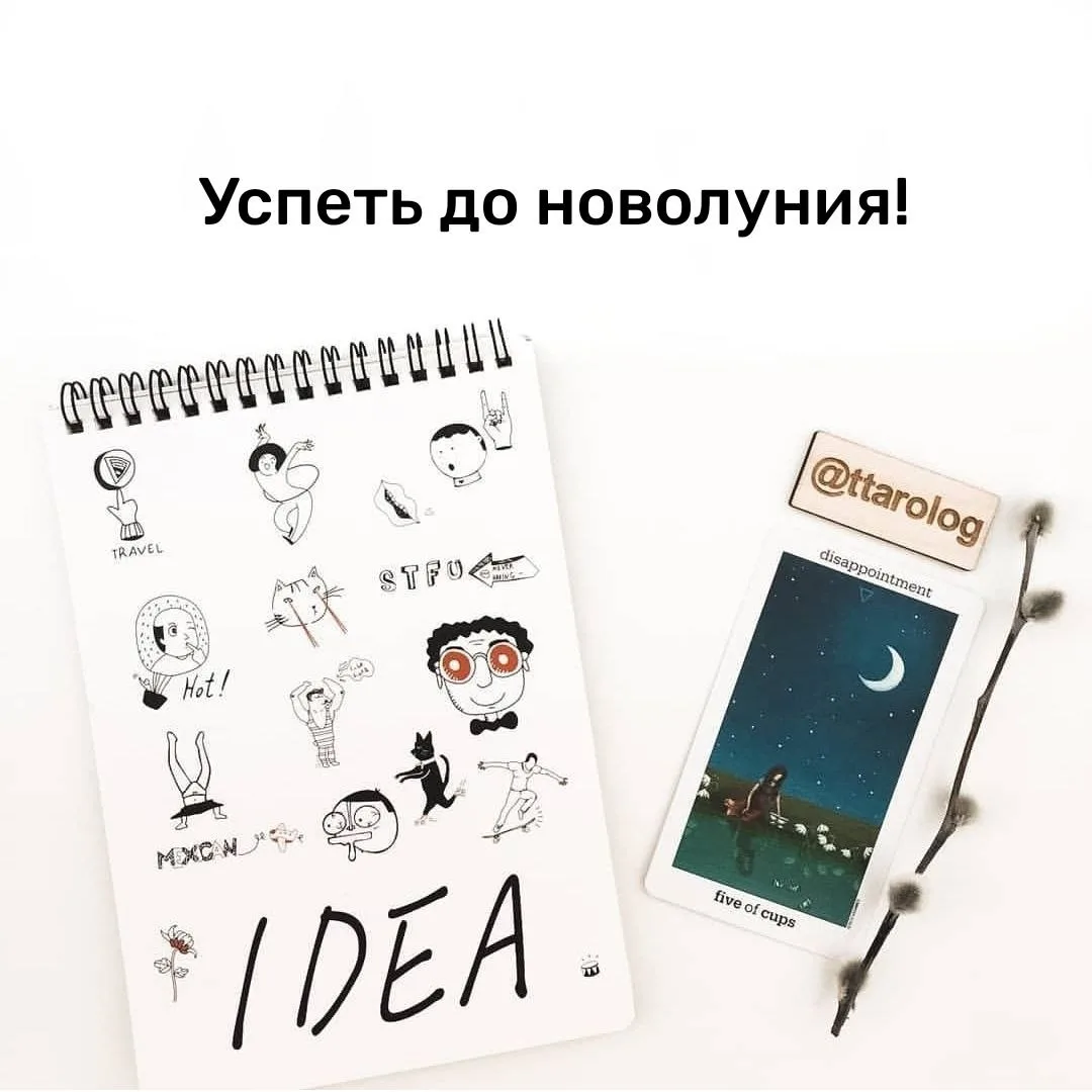 Успеть до новолуния 🌙