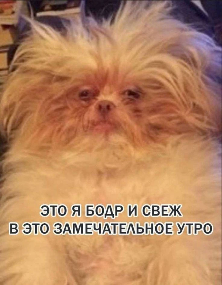 Снова за работу! 😁

Как прошли ваши выходные? Ставьте реакции