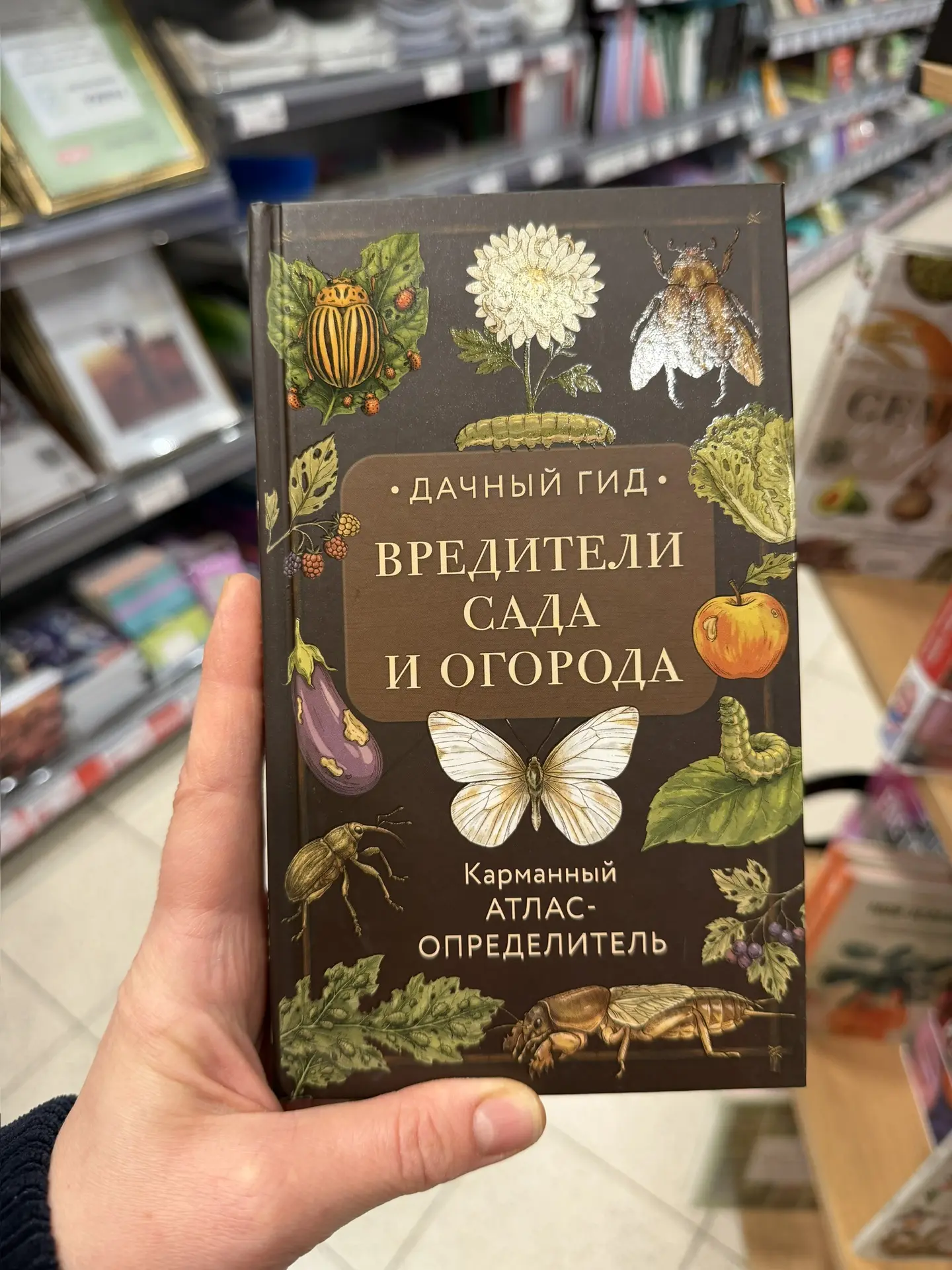 #bro_обзор книги про растюшки