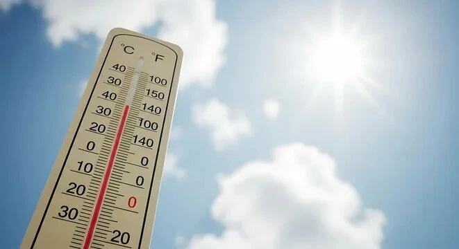 ❗Уважаемые жители Мелекесского района ❗