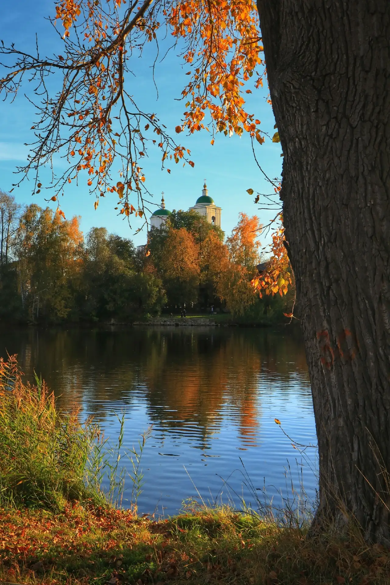 Золотая осень в Кыштыме