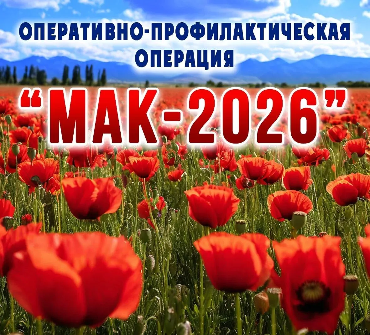 В Новороссийске стартовал второй этап оперативно-профилактической операции «Мак-2026»

В период с 27