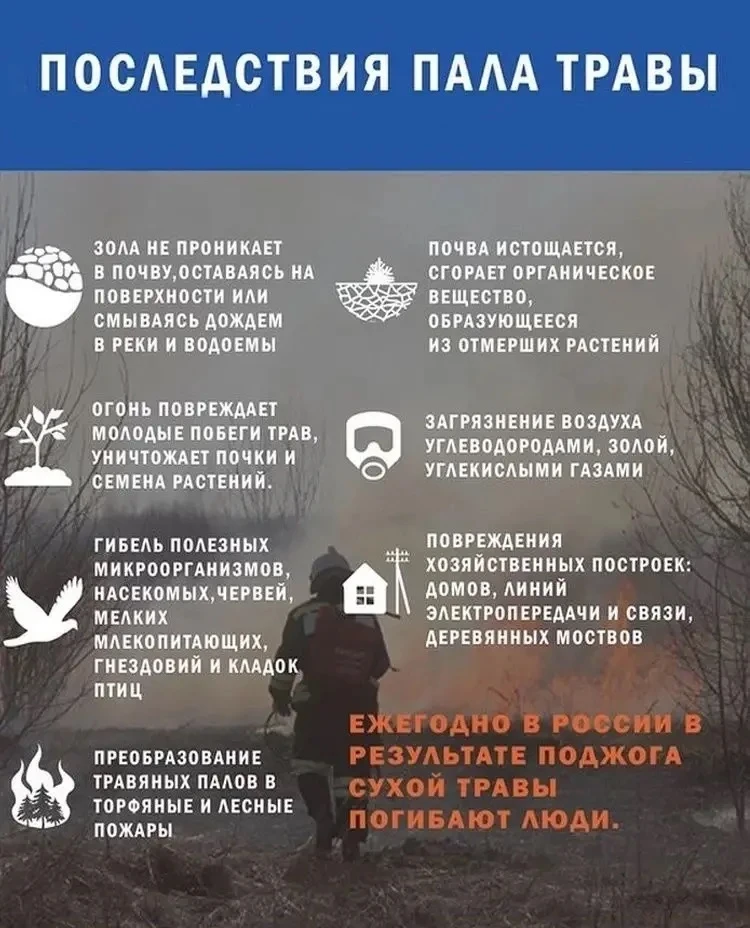 ❗Спичка в руке — враг: почему жечь траву — это не «уборка»