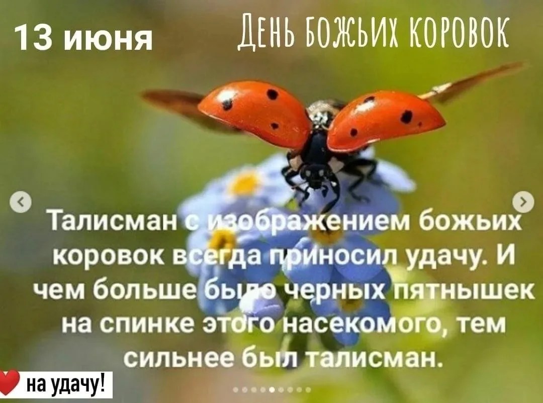 🥰 Оставляйте реакции, если понравилась открытка и делитесь с близкими ❤️

💌 Лучшие Открытки и позд