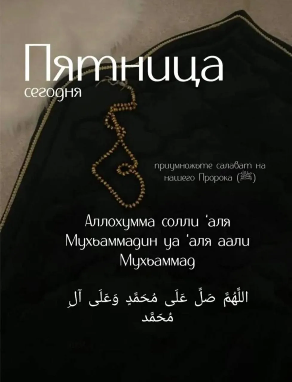 ДАЛА къобала дойла Рузба. ДАЛА массера до1ийна жоп а лойла!