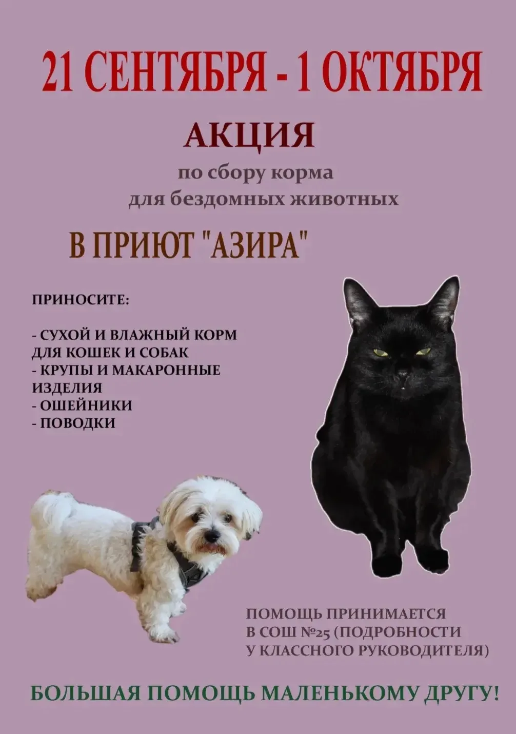 Объявляется акция!