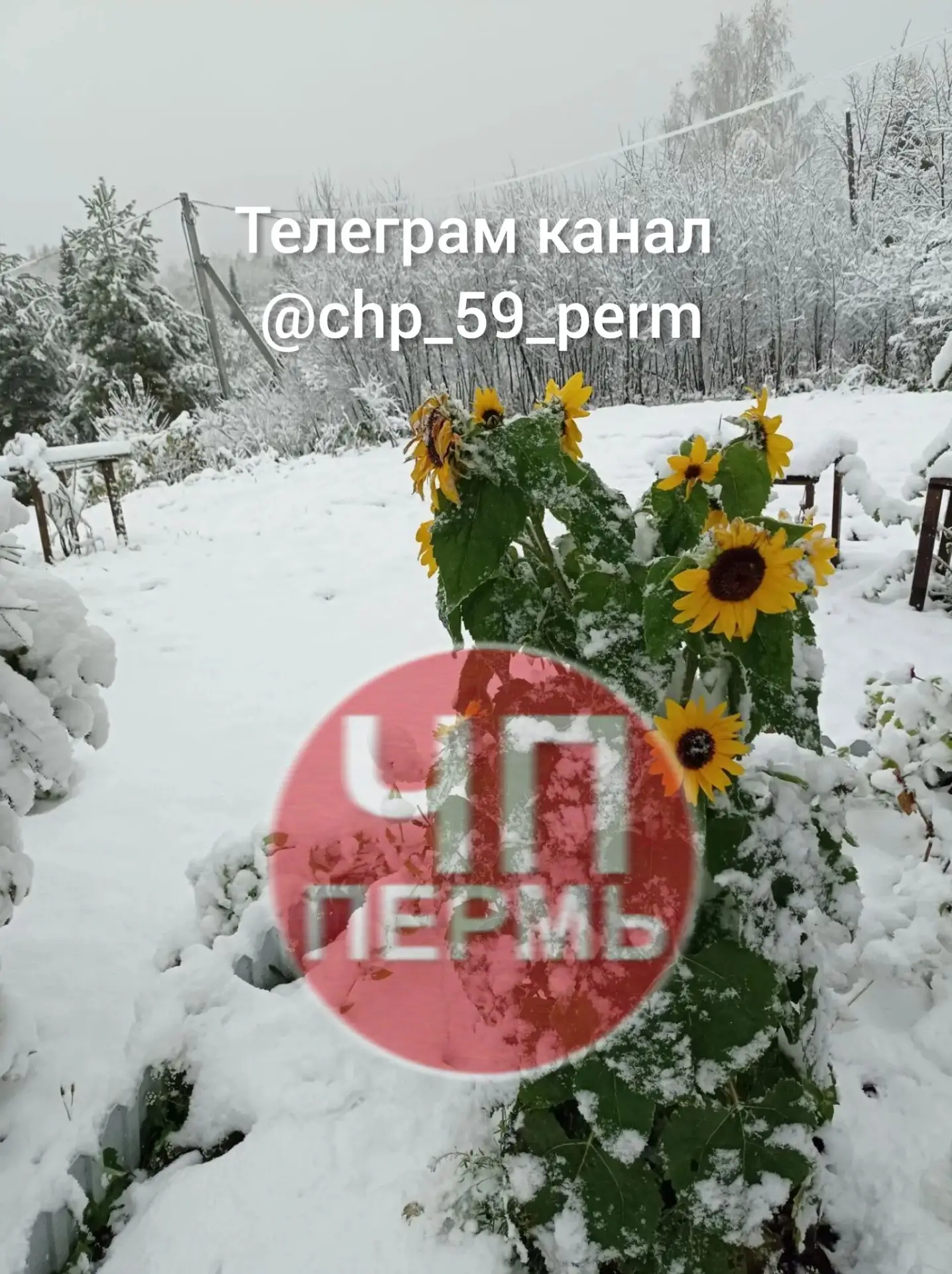 Утро 4 октября в Бершети.
