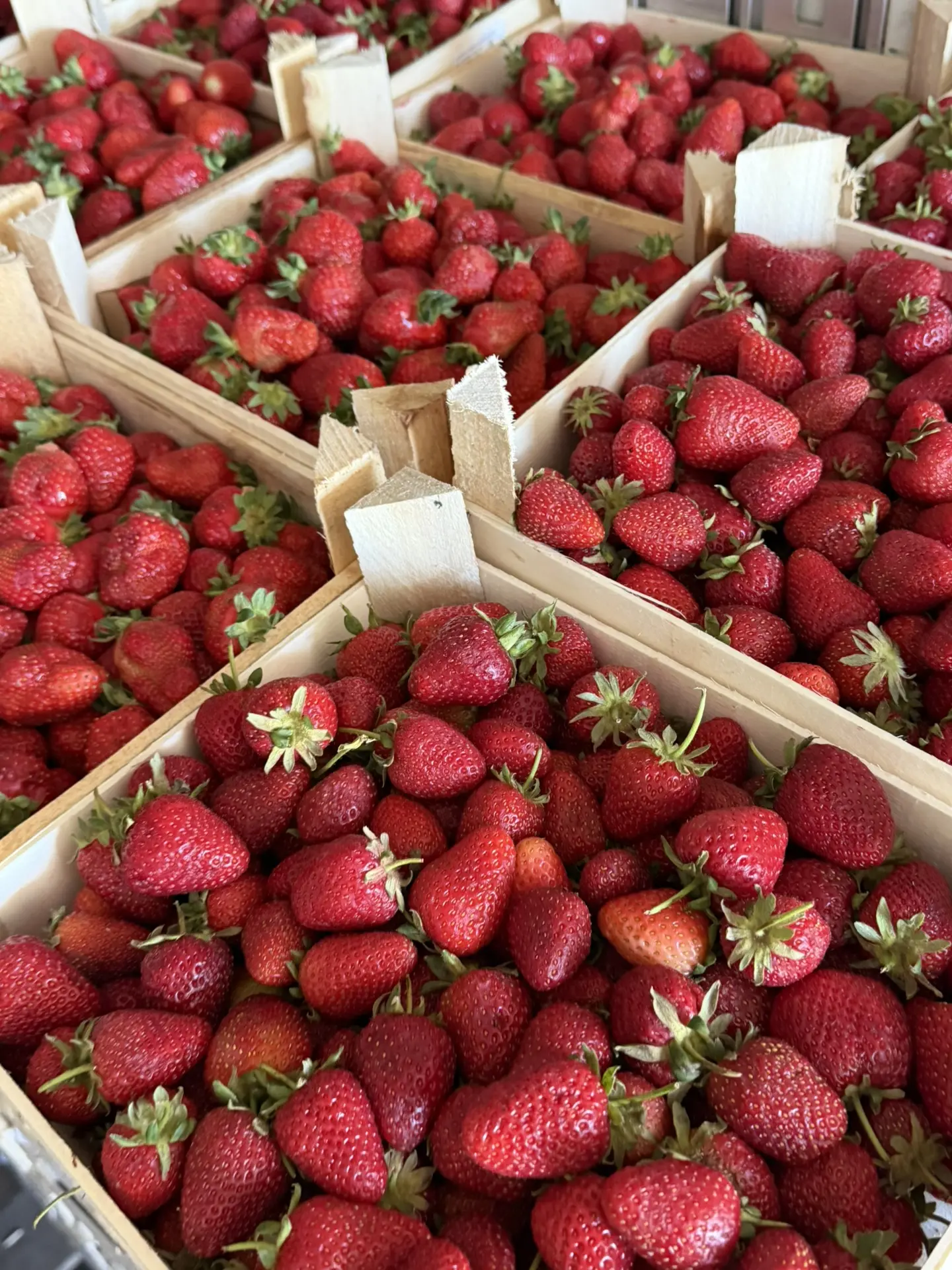 ВАЖНАЯ ИНФОРМАЦИЯ 🍓  На складе по адресу ул. Шевченко 30Аст1 клубники больше НЕТ — вся ягода осталас