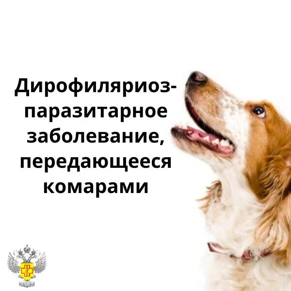 #санпросвет