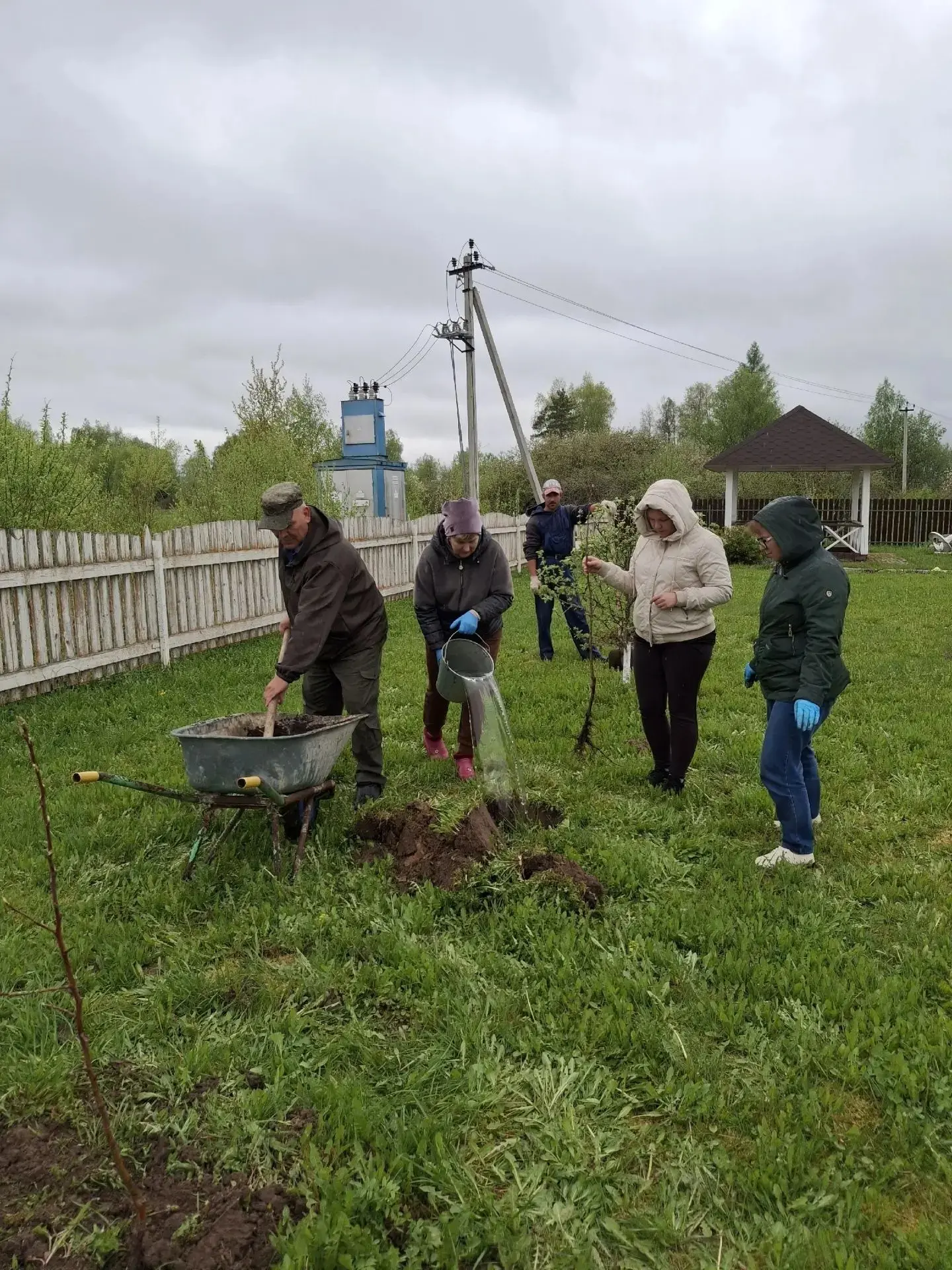 🌿Сад Победы  🏡🌳Днепровский дом-интернат для престарелых и инвалидов принял участие во всероссийской 