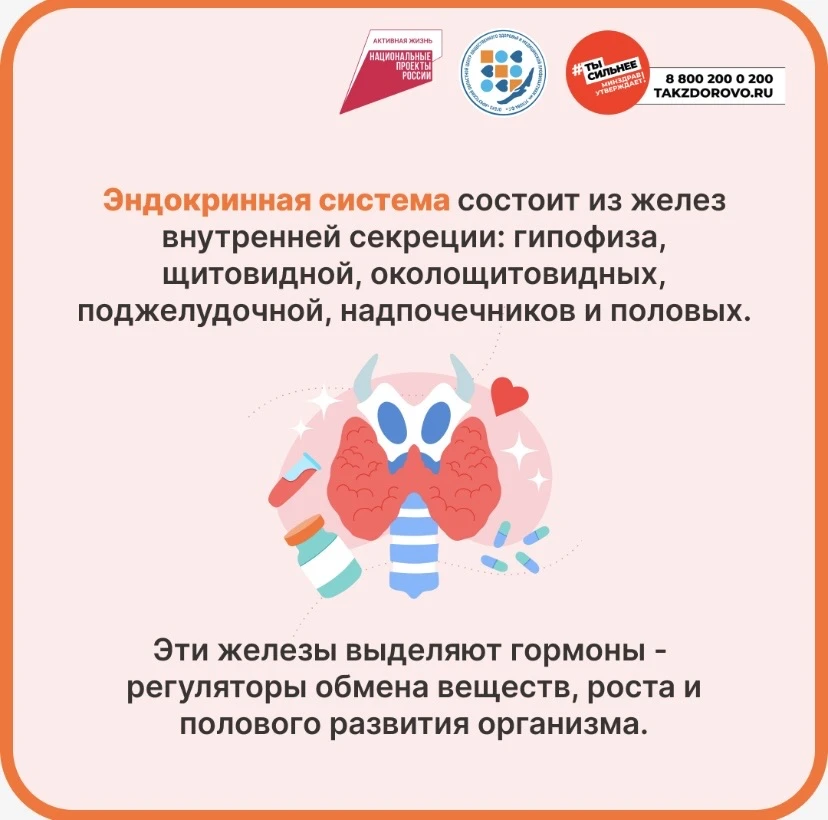Добрый день, Уважаемые коллеги!

В рамках действующих соглашений о сотрудничестве с ОГБУЗ "Иркутский