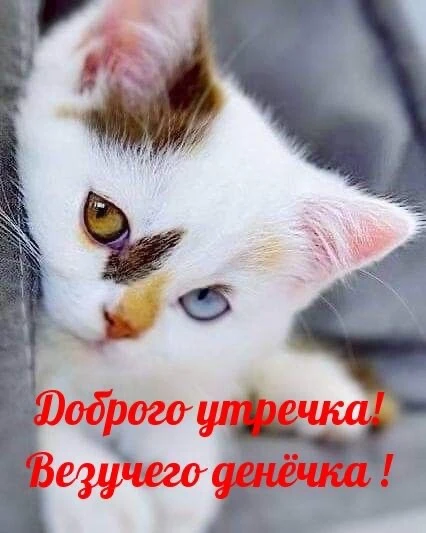 КРАСИВЫЕ ОТКРЫТКИ ТУТ💖