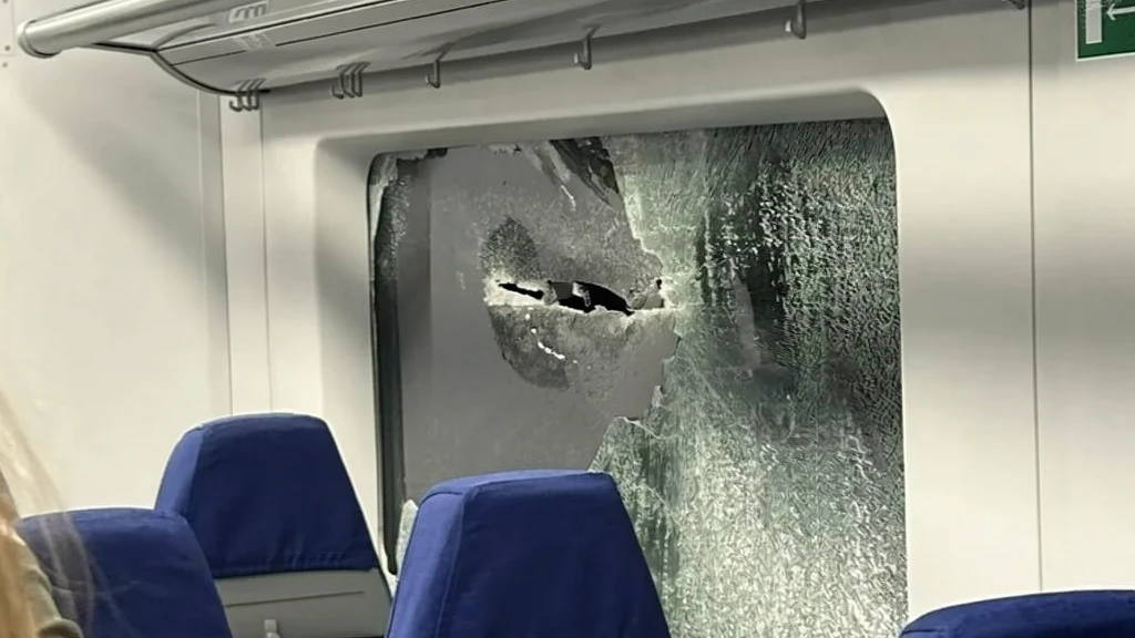 В «Ласточке» Выборг — Петербург на ходу разбилось окно из-за прилетевшего предмета