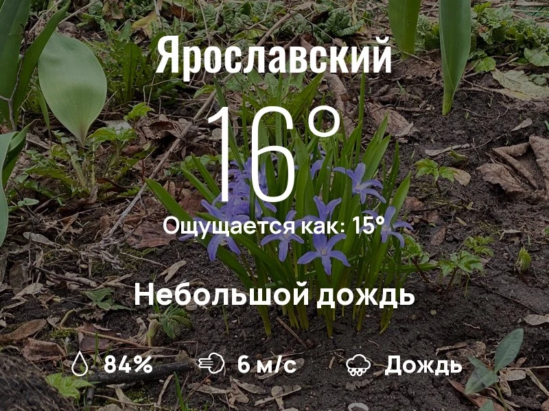 Что с погодой в Ярославском?

Одевайтесь по погоде, берегите себя!
Продуктивного дня, соседи!

#пого