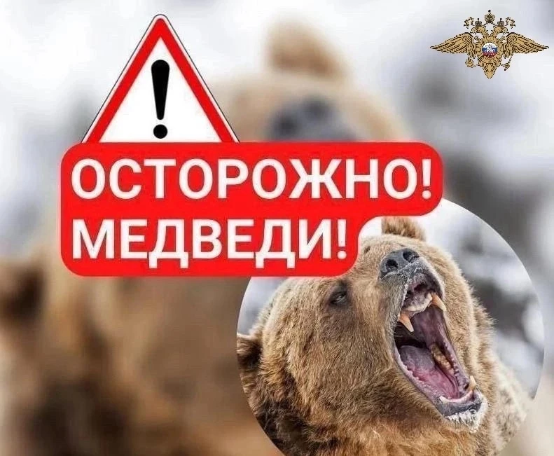 ❗️❗️❗️Обращение ОМВД России «Иланский» к гражданам