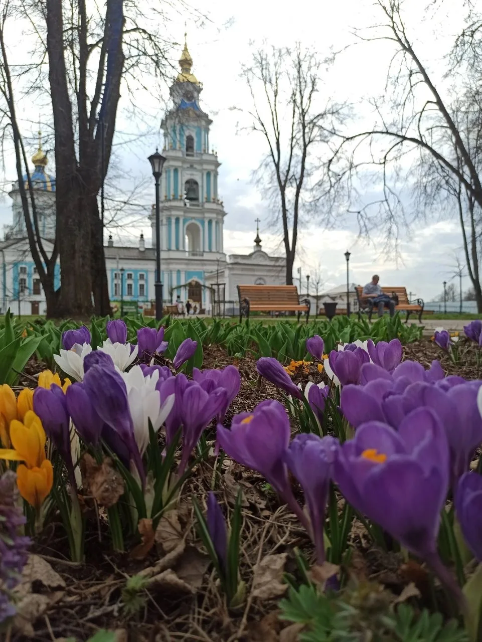 КстатиNews желает своим читателям спокойной ночи! Пусть она подарит вам добрые и приятн...