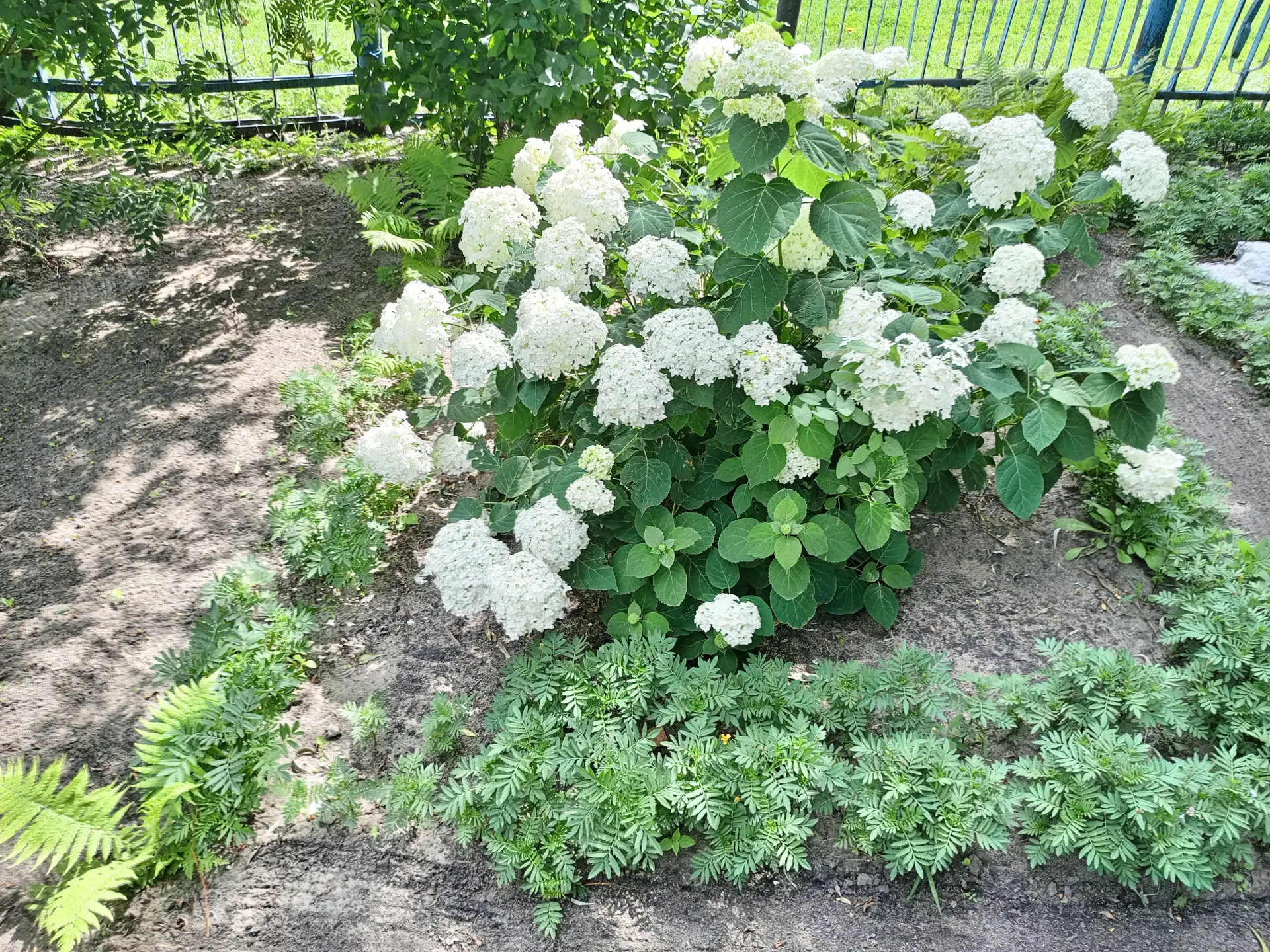 -ЦВЕТОЧНОЕ НАСТРОЕНИЕ: создаём красивые клумбы в детском саду! 🌿** 

Детский сад — это не только иг