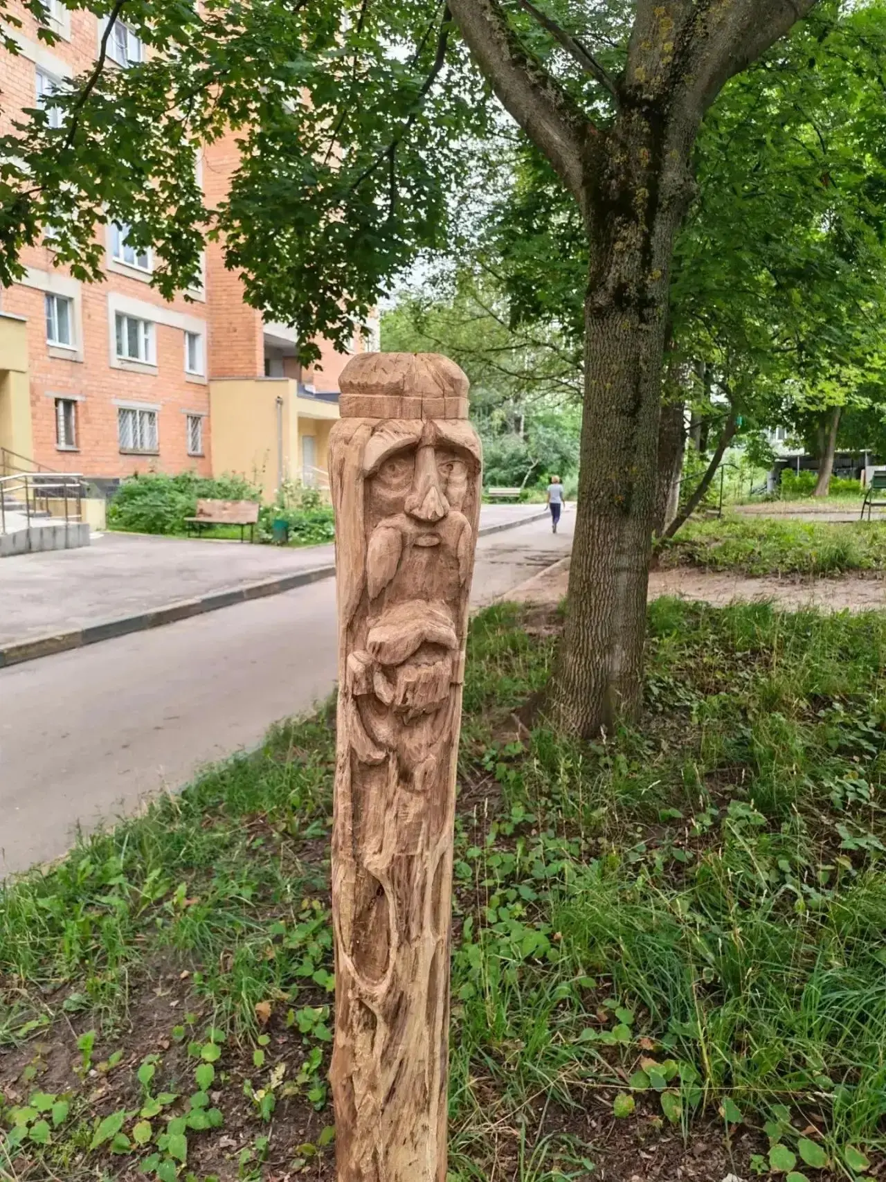 В Нижнем Новгороде сломанное дерево обрело вторую жизнь